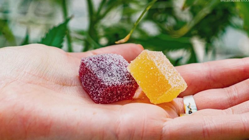 Sweet Relief: Delving into the Effects and Flavors of Exhale D8 Gummies – Review